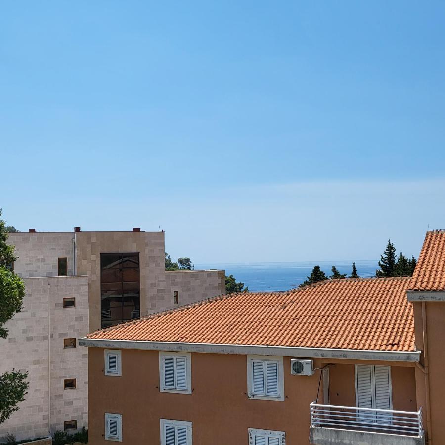 Apartmani Mia Sorajic Petrovac Extérieur photo